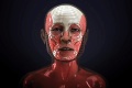 Vedci zrekonštruovali tvár 2 600 rokov starej múmie: Tvár nádhernej ženy mala jednu chybičku krásy