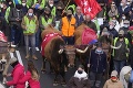 Do ulíc Madridu vyšli tisícky farmárov so zvieratami: Drsné odkazy na adresu vlády