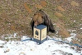 Statný medveď Žabo testoval odpadkové koše: Ako dopadol jeho súboj so smetiakmi?