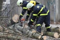 Popadané stromy či odtrhnuté strechy: Hasiči pre silný vietor zasahujú i v Bratislavskom kraji