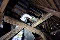 V podkroviach štyroch kostolov sa to hemží netopiermi: Ochranári pomohli budovám aj okrídleným obyvateľom
