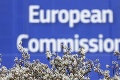Eurokomisia vedie štyri právne konania voči SR: Čoho sa výzvy týkajú:?