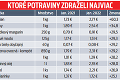 Najvyššia inflácia od júla 2004, ceny energií a potravín rastú závratným tempom: O koľko zdražel život Slovákov?!