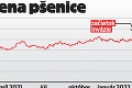 Pekári sú v pozore! Cena pšenice je na rekordoch: O koľko si priplatíme za pečivo?