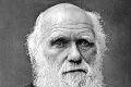Knihovníci pátrali po zápisníkoch prírodovedca 22 rokov: Darwinove poznámky vrátili ako darček
