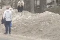 Pri videu z Nízkych Tatier si budete ťukať na čelo: Otrasné, čo urobil turista pri medveďovi! Takto ľudia odsudzujú šelmy na smrť