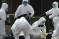 Čína hlási prvý prípad nákazy vtáčou chrípkou: Typ H3N8 odhalili u 4-ročného chlapca