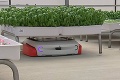 Farma budúcnosti – roboty a interiér