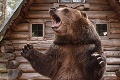Idylka sa zmenila na horor! Turistov pri Hriňovej napadla medvedica: Musel zasahovať aj vrtuľník