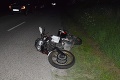 Tragédia na cestách: Motocyklista (†47) prišiel o život po zrážke s divokou zverou