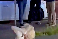 V centre Bratislavy sa bili dve prsatice v minisukniach: Toto sú blondínky z pikantného videa!