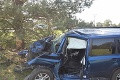 Vážna nehoda v Malackách: Mamička s dieťaťom v aute vrazila do stromu!