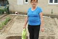 Nakupujú ich vo veľkom! Ukrajinci sa snažia dostať domov kúpené autá: Apokalypsa v Ubli