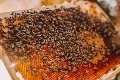 Milovníci medu si prídu na svoje: Toto všetko sa dá zažiť na festivale v Nitre