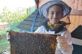 Smelý Samko z Nového Mesta sa žihadiel nebojí: Chová 200-tisíc včiel, škole pomohol hrdinským činom