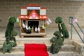 Svadba akú ste ešte nevideli: Útulok sa rozhodol dvom nerozlučným psíkom zorganizovať svadbu!