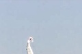 Ruská armáda vykonala ďalší test hypersonickej strely Zirkón: Zasiahla cieľ vo vzdialenosti tísic kilometrov