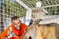 Zápasník Vémola chce speňažiť svoju zoo: Za exkurziu do Vémolandu pýta astronomickú sumu