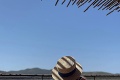 Horúce foto Dominiky Cibulkovej na Ibize: Takto ju na tajňáša zachytil manžel