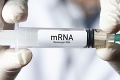 Prelomové zistenie vedcov: mRNA vakcíny by mohli pomôcť pri liečbe tejto smrteľnej choroby