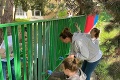 Zamestnanci Amazonu v Bratislave vyšli z kancelárií natierať ploty na školách