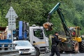 Tragédia v Krkonošiach: Silný vietor zhodil strom na okoloidúce auto, zomreli traja ľudia