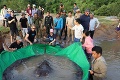 Rybár v Kambodži ulovil najväčšiu sladkovodnú rybu na svete: To je ale macek! A aha, koľko má kíl