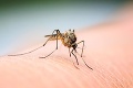 Sci-fi technológia bojujúca proti malarickým komárom