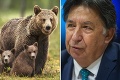 Minister Budaj sa rozhodol: Ako to bude s reguláciou medveďa hnedého?