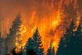 V Bachledovej doline horí les! Na mieste zasahujú hasiči z viacerých oblastí