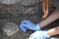 Perfektný objav archeológov: Zachovalá korytnačka stará stovky rokov! Keď sa pozreli bližšie, neverili vlastným očiam