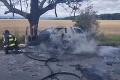 S autom narazil do stromu, to zhorelo do tla: Muž († 55) vo Forde nemal šancu prežiť