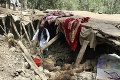 Obrovská katastrofa v Afganistane má dohru: Taliban sa snažil zneužívať humanitárnu pomoc? Teraz vysvetľuje
