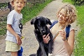 Pripravujú bič na turistov a ich štvornohých parťákov: Zákaz psov vo Vysokých Tatrách?!