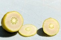 Muž sa tešil na plody z citrónovníka: Keď zbadal, čo vypestoval, zostal ako obarený!