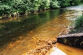 Konečne dobrá správa: Najnovší prieskum potvrdil, že do znečistenej rieky Slaná sa vrátil život