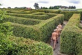 Labyrint neďaleko českých hraníc s nádychom erotiky: Uvidíte fotku, pochopíte!