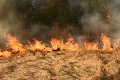 Rozsiahly požiar na východe: Oheň vyčíňal vo vojenskom lese, pozor na extrémne rizikové počasie