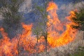 V českom národnom parku vypukol požiar: Plamene pohltili aj turisticky obľúbenú časť