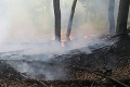 Rázny krok ministerstva vnútra: Zakazujú vstup do lesov v ďalšom okrese! Stále hrozia požiare