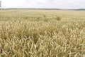 Rusko žiada od OSN pomoc pri vývoze obilia a hnojív, tá zatiaľ nič neprisľúbila
