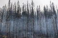 Veliteľ slovenských hasičov o požiari v Česku: Efekt hasenia v lese často nevidno okamžite