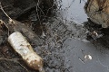 Odhalili silné znečistenie: Obhliadka bývalej rafinérie pri Brezne nedopadla dobre, tieto látky našli
