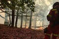 Neďaleko Košíc vypukol lesný požiar: Zasahujú desiatky hasičov s 13 kusmi techniky