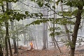 Neďaleko Košíc vypukol lesný požiar: Zasahujú desiatky hasičov s 13 kusmi techniky
