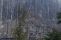 Boj s plameňmi v Českom Švýčarsku pokračuje: Pohľad na spálenisko trhá srdce! Pomáhajú aj Slováci