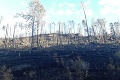 Hasiči neúnavne bojujú s požiarom v Českom Švajčiarsku: Nové posily zo Slovenska