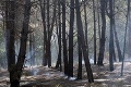 Po dlhých bojoch s plameňmi neprichádza úľava: Ďalšia rana pre ohňom sužované krajiny