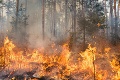 Muž z Utahu spôsobil lesný požiar: Dôvod vám spraví vrásky na čele