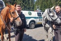 Zlodeji sa pred nimi trasú! Do hôr sa vrátili kovboji v uniformách: Takto chránia les policajti na koňoch